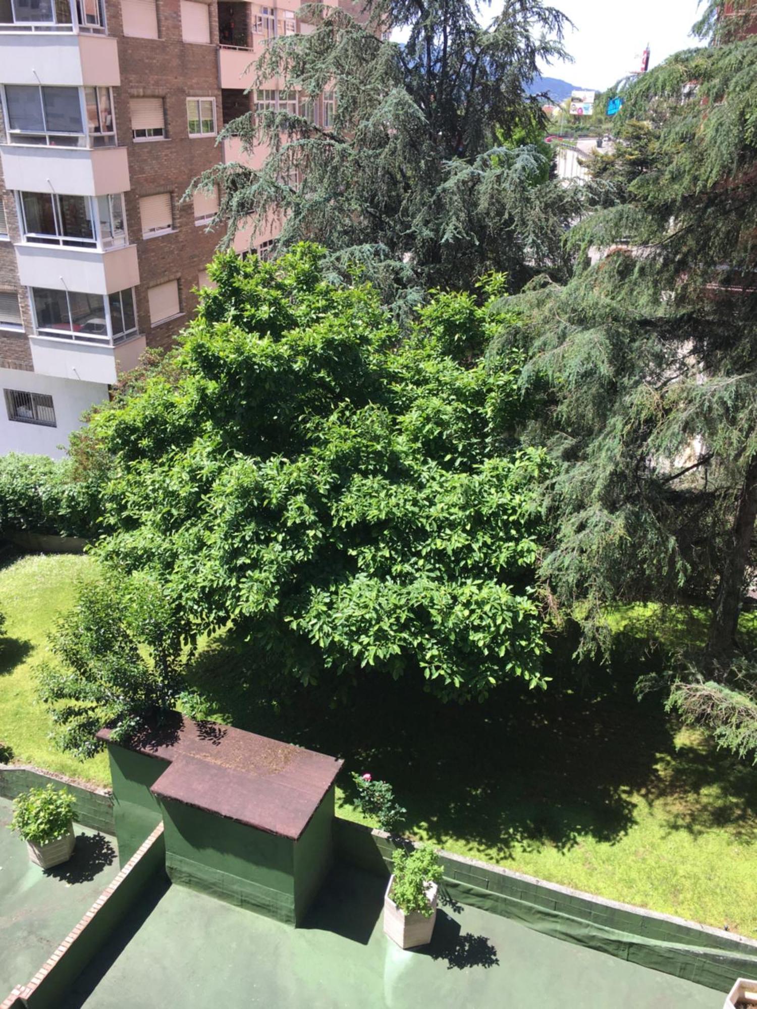 Gaivota Amplio Y Luminoso Con Plaza De Garaje Apartment วิโก ภายนอก รูปภาพ